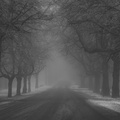 Misty road