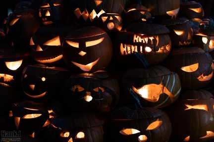 Salon Kurpitsaviikot-4